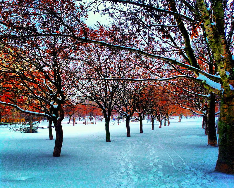 Beauty of Autmn and winter, budapest, autumn, snow, winter, HD wallpaper