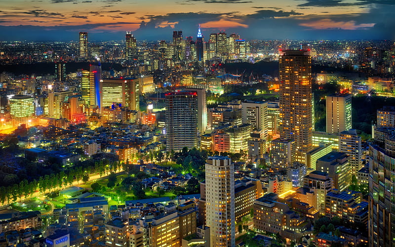 Tokyo, evening, city lights, metropolis, japan, HD wallpaper