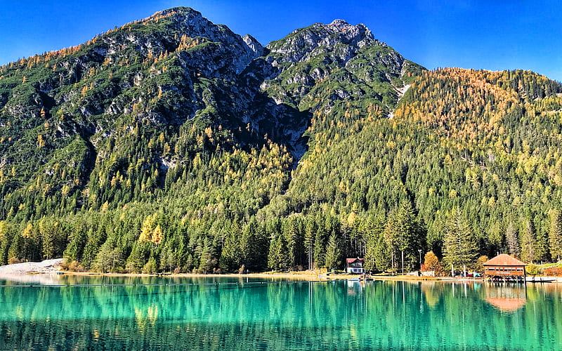 Lake Dobbiaco, summer, beautiful nature, forest, mountains, Toblacher See, Belluno, Italy, Europe, South Tyrol, Lago di Dobbiaco, R, HD wallpaper