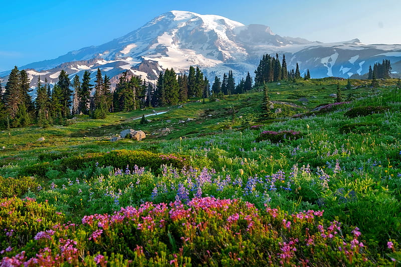 Mountain scenery, hills, spring, sky, mountain, wildflowers, peak, slope, scenery, meadow, HD wallpaper