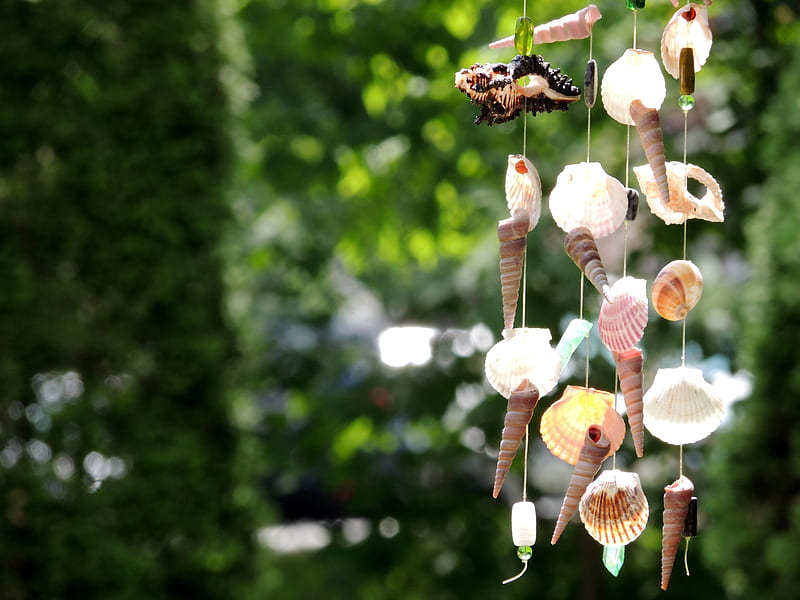 Wind Chime Pictures | Download Free Images on Unsplash