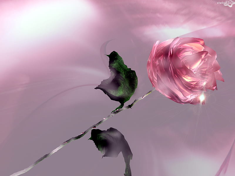 The Rose, thorns, rose, flower, pink, stem, HD wallpaper