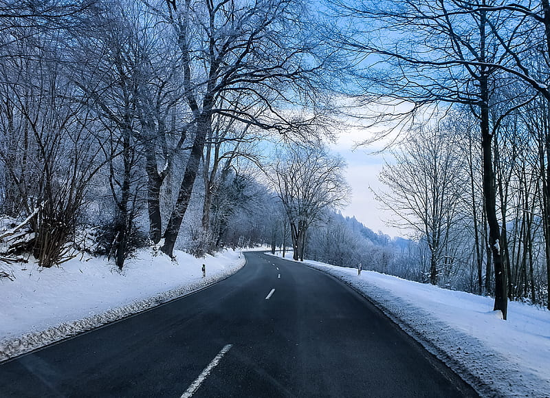 Winterroad , carretera, driving, frost, mountain, snow, road, snow, tree, winter, wood, HD wallpaper
