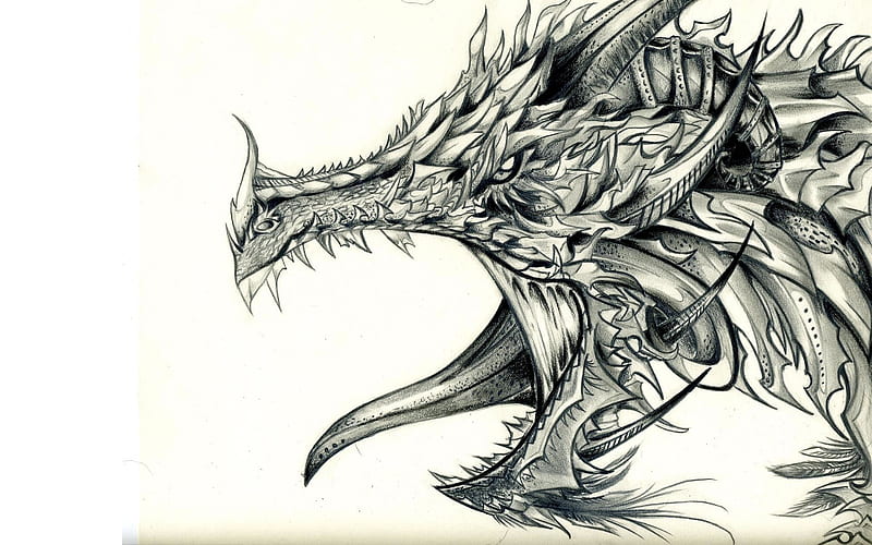 Dragon Sketch Poster by Reaper Scofield - Fine Art America
