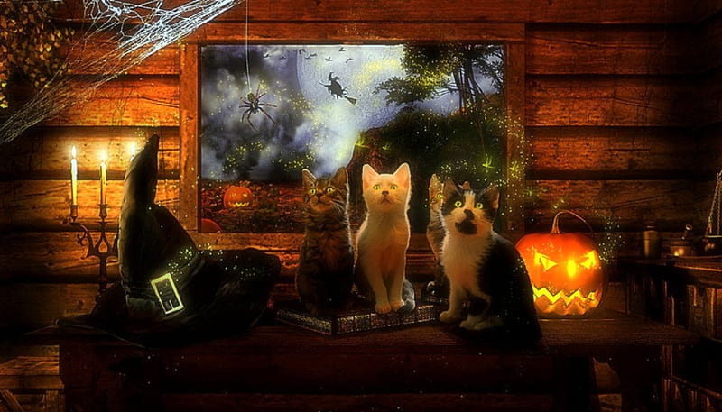 Halloween Cute Cats, pretty, halloween, digital art, spider, spider-web, manipulation, animals, lovely, kitty, colors, love four seasons, creative pre-made, candles, cute, witch hat, cats, pumpkins, HD wallpaper