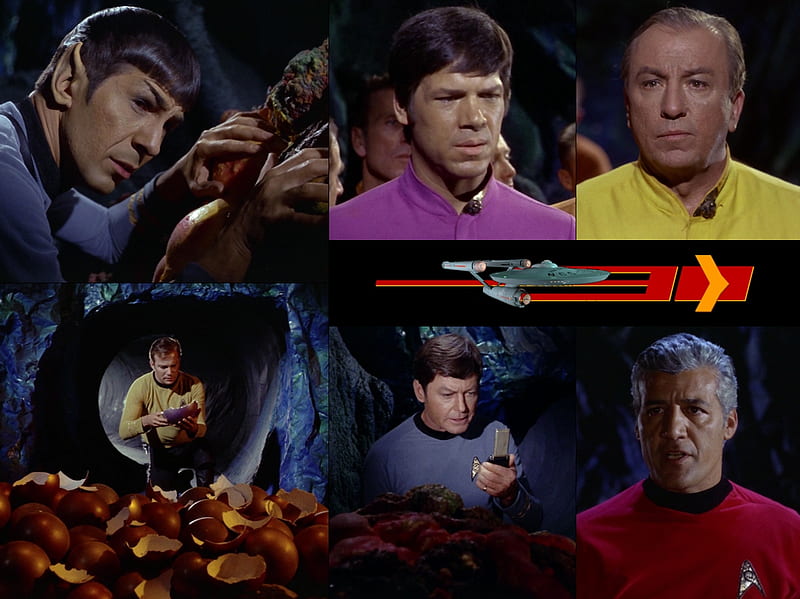 The Devil in The Dark, Horta, Star Trek, Spock, Kirk, McCoy, HD wallpaper