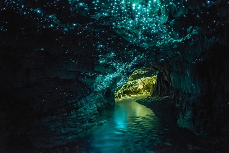 A wanna-visit cave!, WaitomoGlowworm, NewZealand, Blue, Cave, HD wallpaper