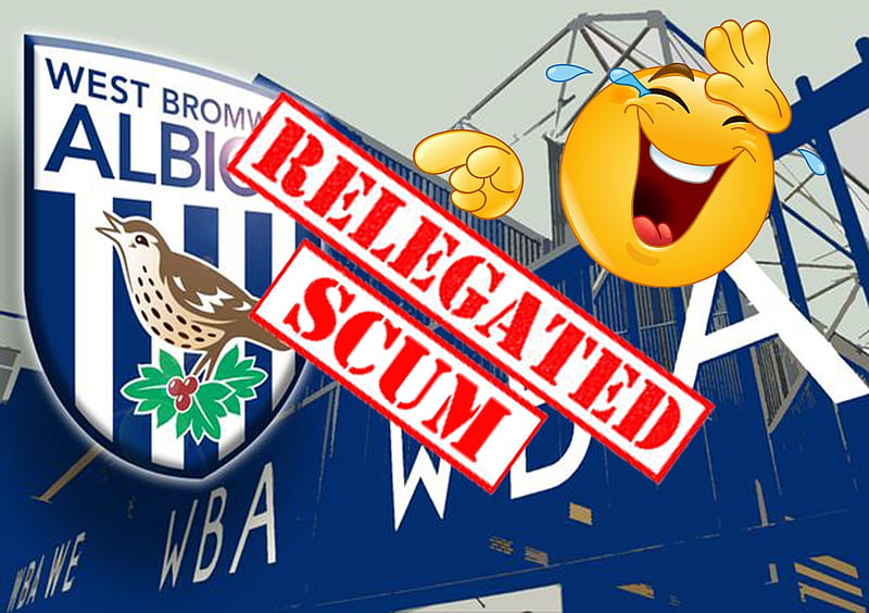 West Brom WBA Relegated, west brom, albion, relegated, championship, boing boing, wba, football, dirty, relegation, bye bye, soccer, inbreed, west bromwich albion, the shit, baggies, low life, hawthorns, scum, inbred, sandwell town, down, hahahahahaha, HD wallpaper