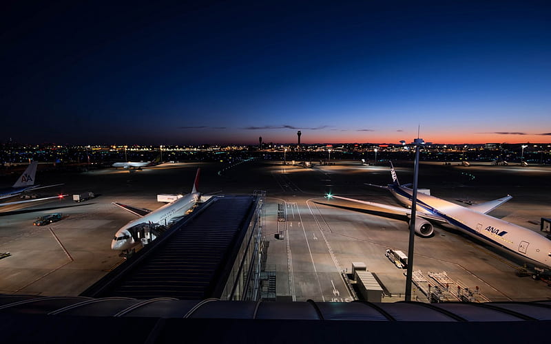 airport at night, tarmac, gates, airport, planes, night, HD wallpaper