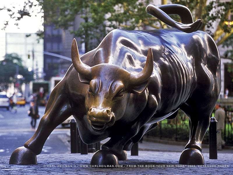 Market Bull, arquitecture, modern, new york, statue, bull, HD wallpaper |  Peakpx