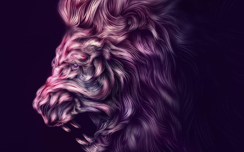 lion, art, purple background, creative, HD wallpaper