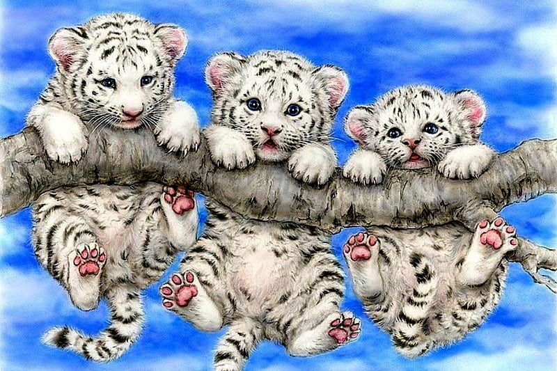 Three Cute Cubs, Paws, Tiger, Cute, White, Tree, Cubs, Three, HD wallpaper