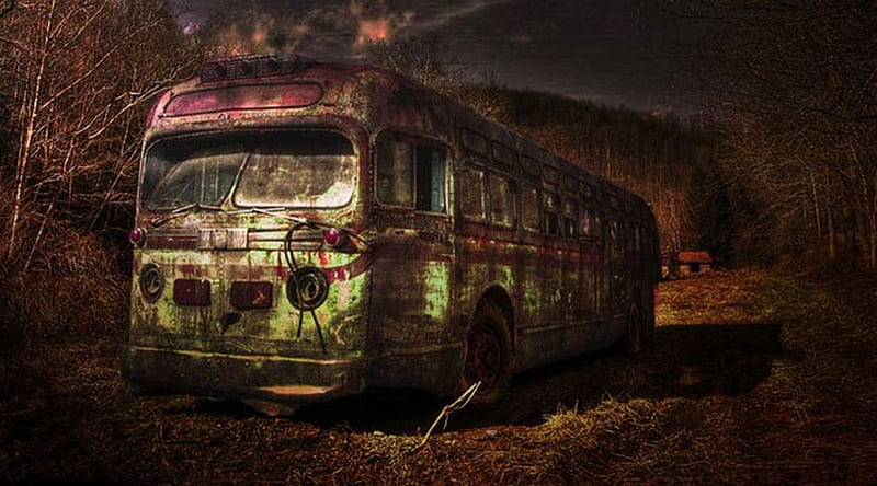 bus, carros, scary, car, HD wallpaper