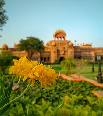 Part of the junagarh fort hi-res stock photography and images - Alamy