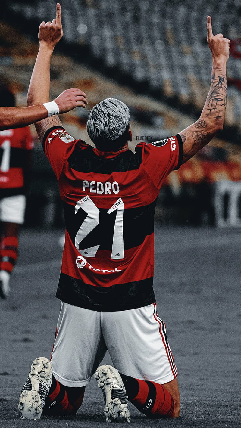 Flamengo, pedro, HD phone wallpaper
