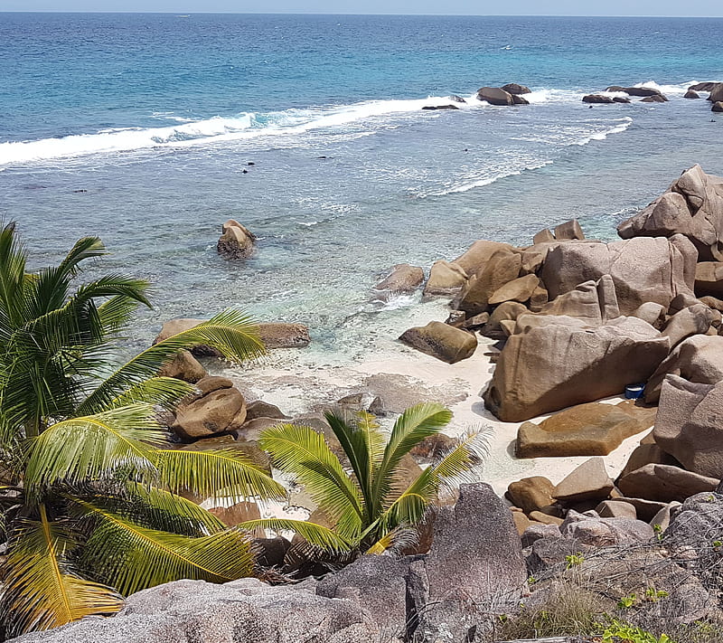 Beuatiful beach, beach, holidays, malediven, nature, palm, palms, seychelles, HD wallpaper