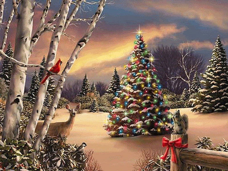 ღ.Lighting of Christmas Tree.ღ, pretty, displays, adorable, greeting ...