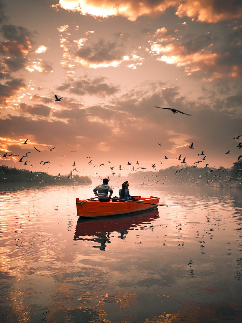 boat, river, birds, walk, sky, clouds, seagulls, HD phone wallpaper