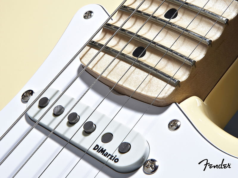 Fender Scalloped Neck, instrument, Scalloped fret board, guitar, electric guitar, Fender, music, Yngwie Malmsteen, Signature Electric Guitar, HD wallpaper