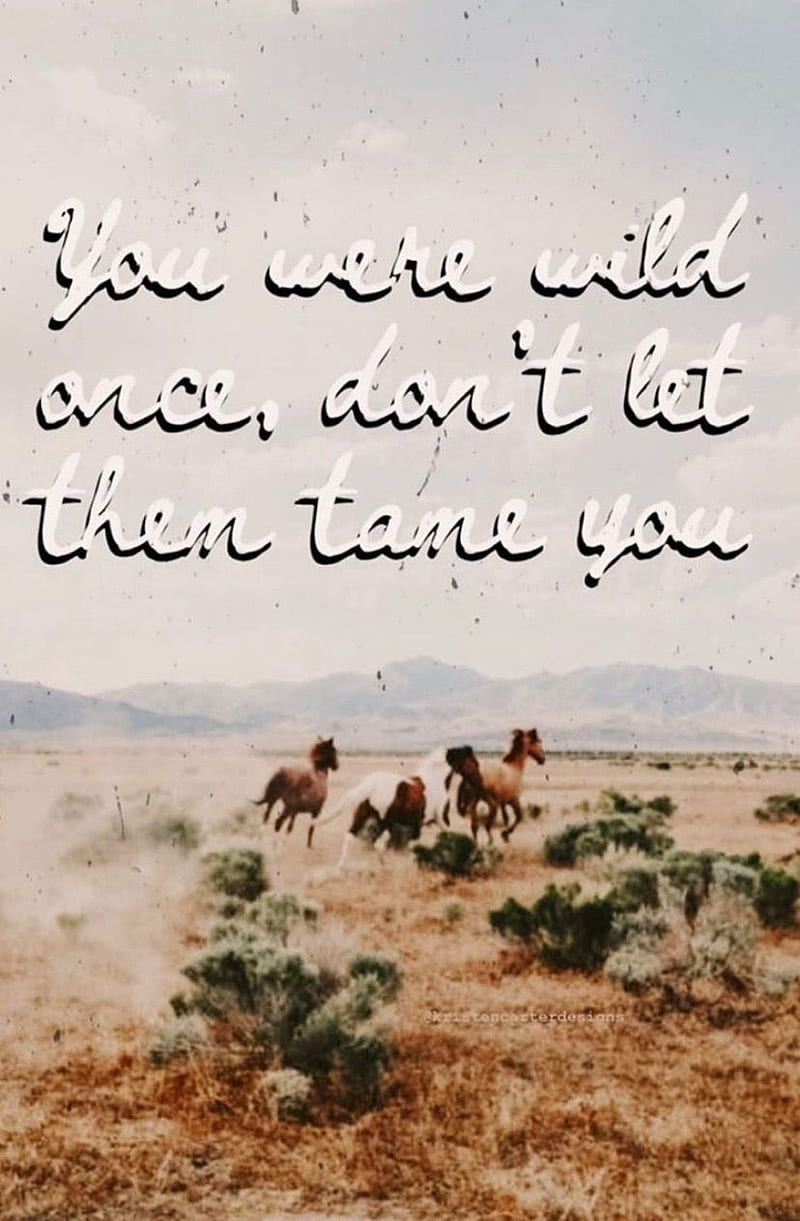 Tame is Lame. Western aesthetic , Western graphy, Country background, Western Asthetic, HD phone wallpaper