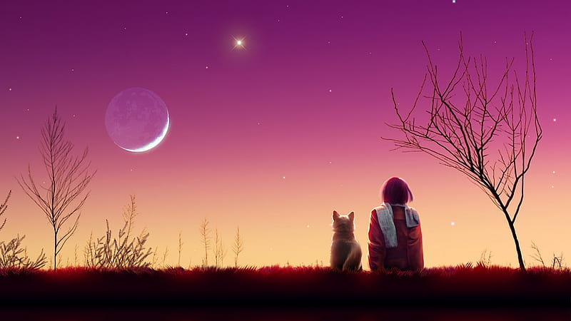 True friendship, sunset, moon, friend, dog, HD wallpaper