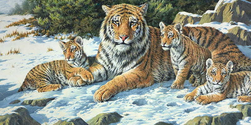Tigers, family, art, nathan clarendon, tiger, baby, winter, cute, snow, cub, painting, tigru, white, pictura, HD wallpaper