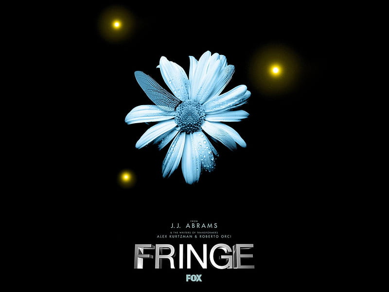 Fringe American TV series 11, HD wallpaper