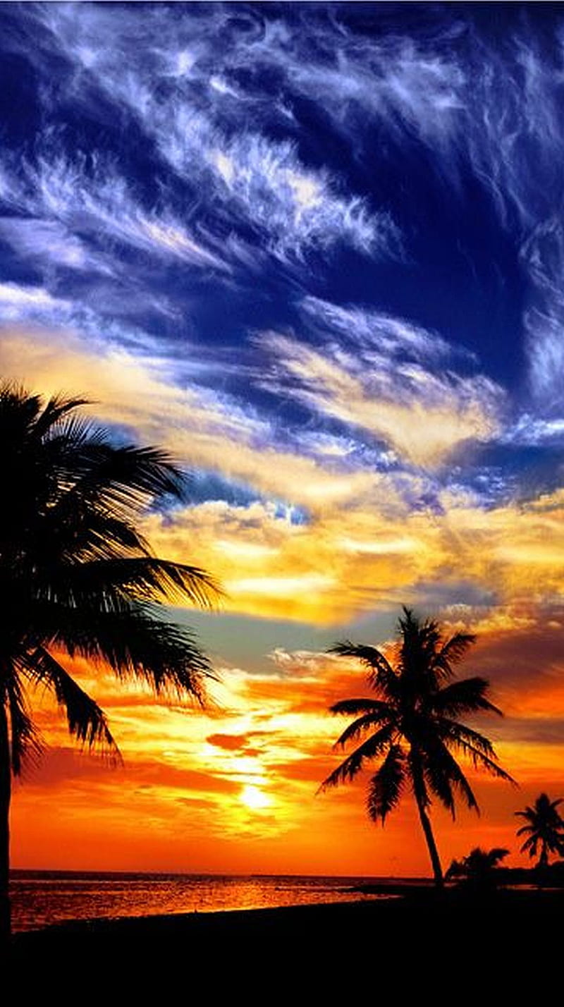 Perfect Sunset, HD phone wallpaper