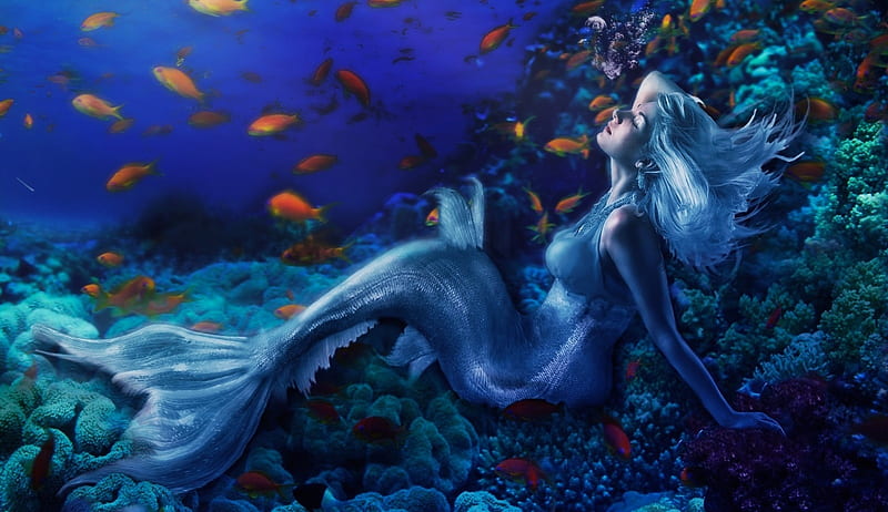 Blue Mermaid, pretty, underwater, art, fish, mermaid, bonito, woman ...