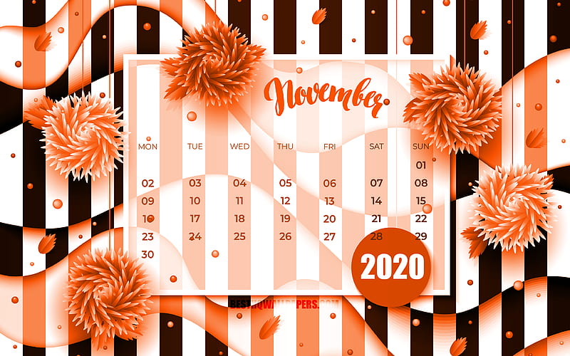 November 2020 Calendar orange 3D flowers, 2020 calendar, autumn calendars, November 2020, creative, November 2020 calendar with flowers, Calendar November 2020, artwork, 2020 calendars, 2020 November Calendar, HD wallpaper