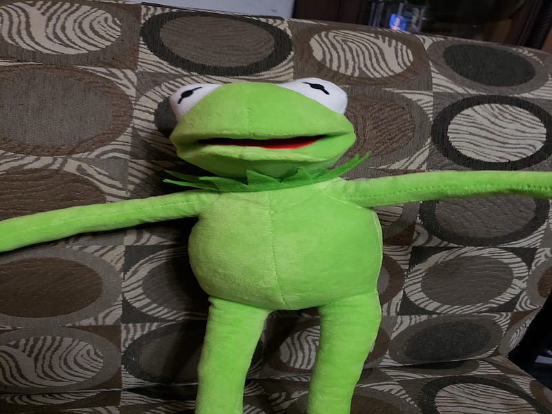 T-Pose Kermit, t-pose, muppets, puppet, meme, funny, HD wallpaper
