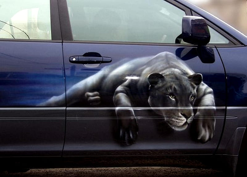panther, cool, car, paint job, black, cat, HD wallpaper