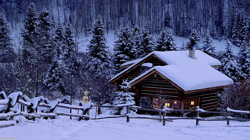 christmas in the woods, forest, christmas, cabins, winter, HD wallpaper