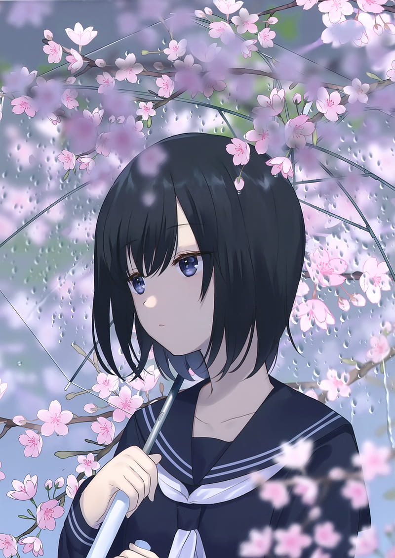 anime girls, school uniform, umbrella, cherry blossom, Achiki, HD phone wallpaper