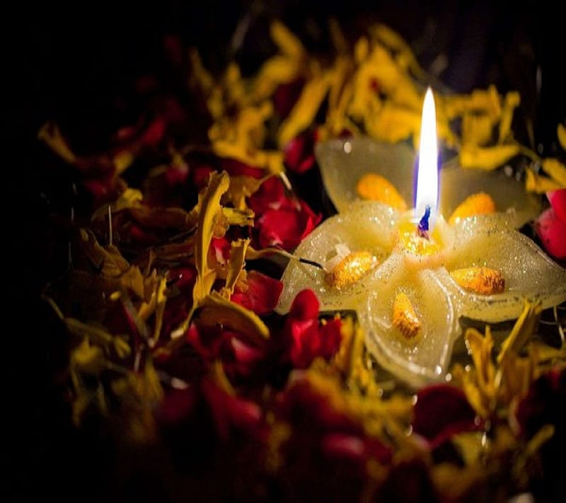 Diwali, festival, flowers, light, HD wallpaper | Peakpx