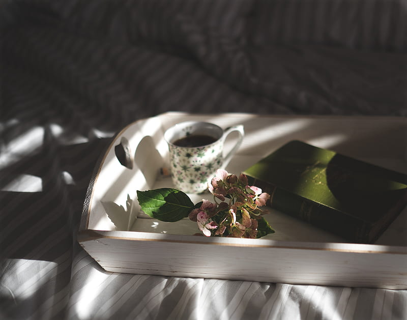 teacup beside pink flowers on tray, HD wallpaper