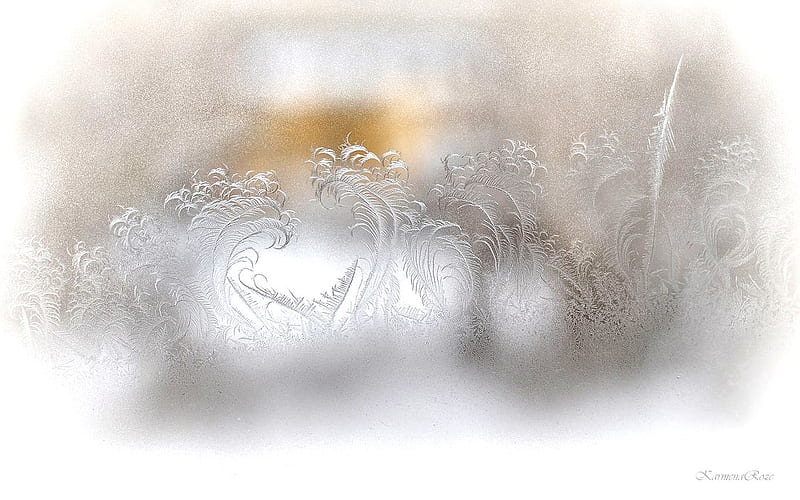 Ice Flowers, glass, frost, winter, Latvia, HD wallpaper