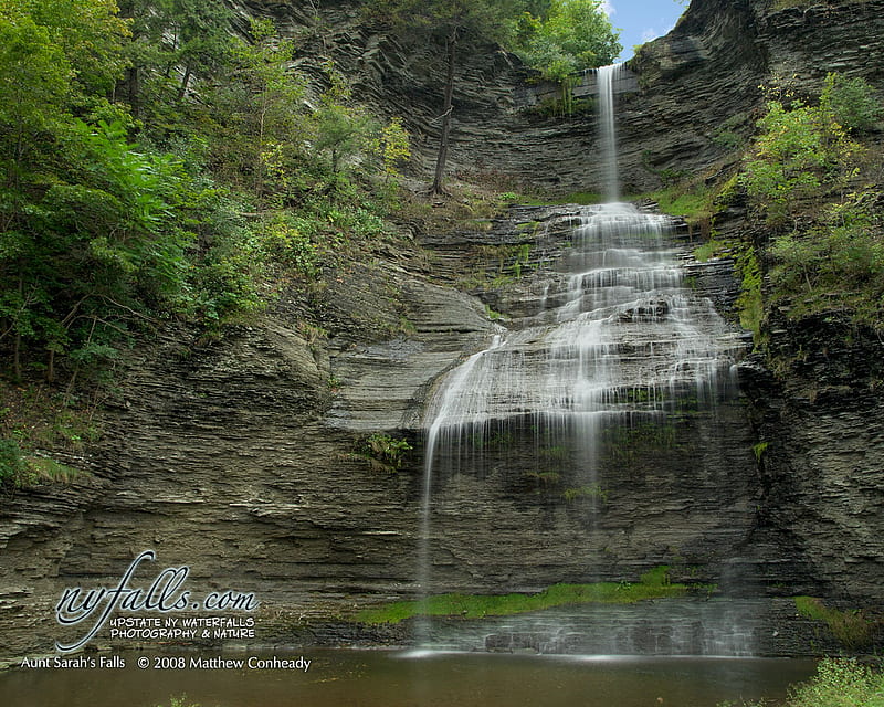 Aunt Sarah's Falls, waterfall, forest, nature, green, HD wallpaper