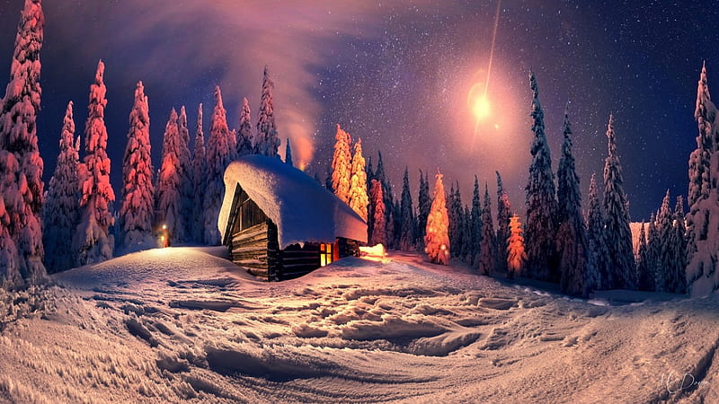 Deep in Winter Woods, north, stars, forest, house, cozy, cottage, cabin, twilight, trees, winter, snow, star, light, HD wallpaper