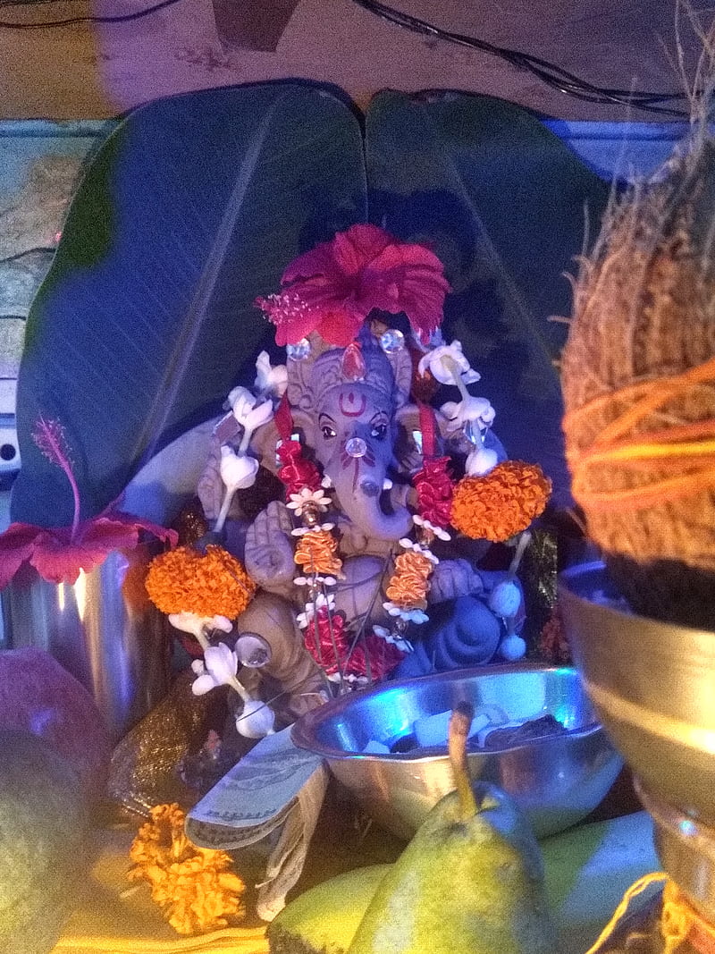 Ganesh chaturthi, god, lord, roses, HD phone wallpaper