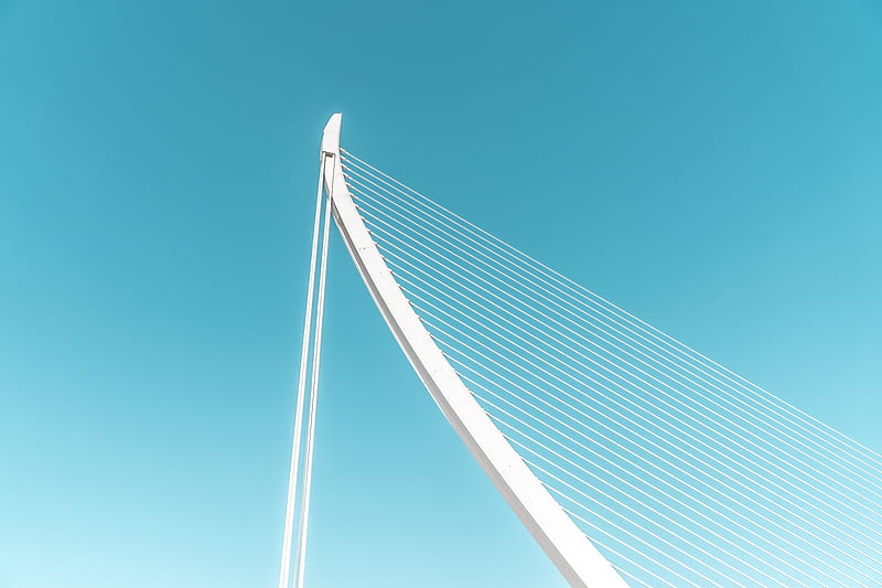 low angle graphy of white cable-stayed bridge, HD wallpaper