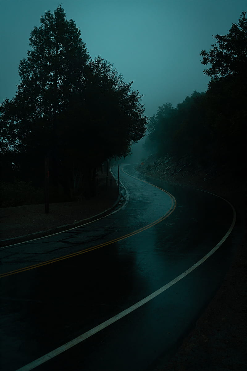 road, turn, fog, dusk, HD phone wallpaper