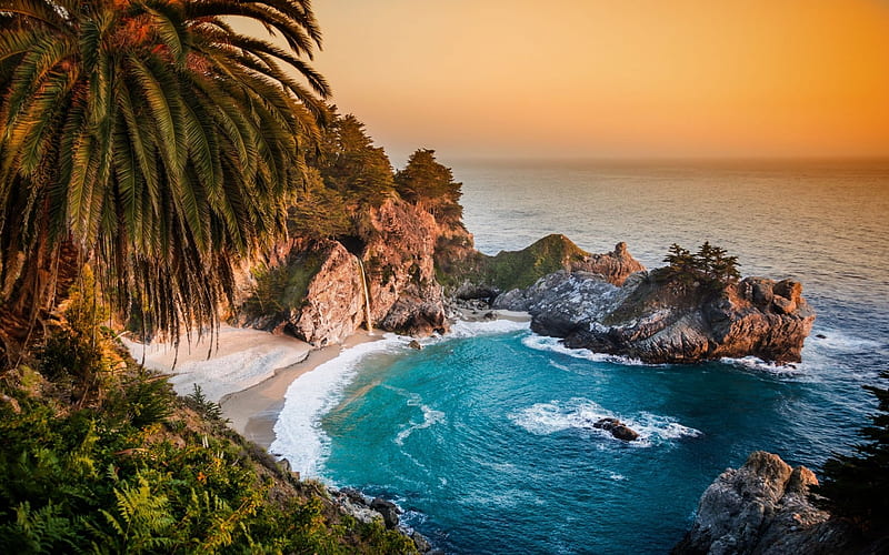 California Cove, rocks, beach, water, california, cove, palms, HD wallpaper
