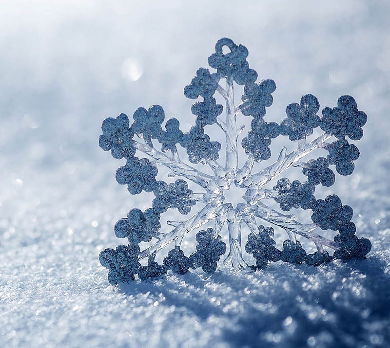 snowflake, frozen, landscape, nature, snow, winter, HD wallpaper