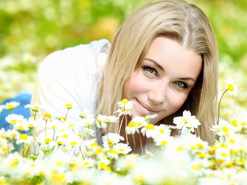 Beautiful girl laying on the daisy flowers field, pretty, blonde, sexy eyes, daisy flowers, HD wallpaper