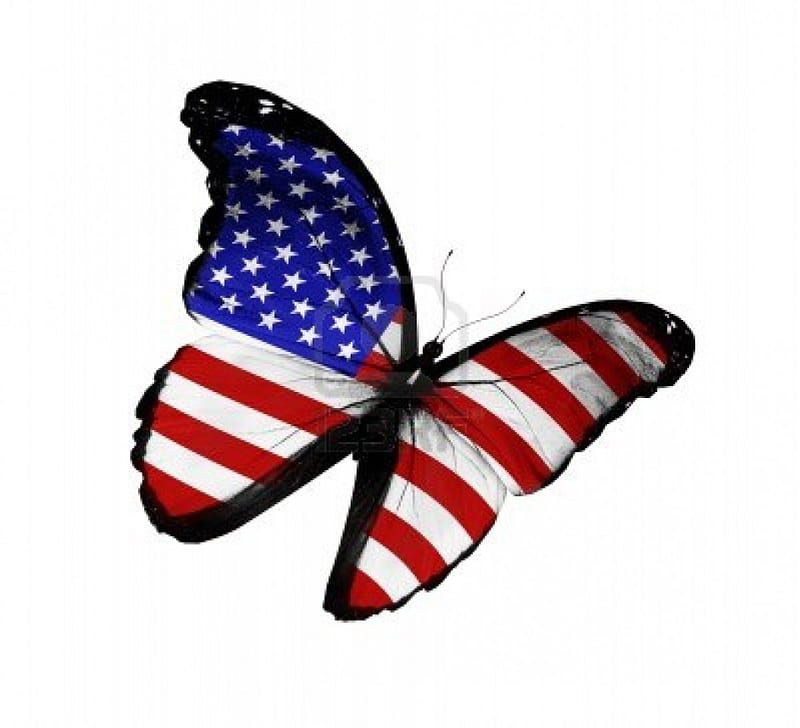 American Flag on Butterfly Flying Isolated, Red, Flying, White, American, Flag, Blue, Butterfly, HD wallpaper
