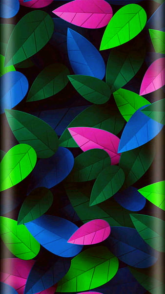 Multi leaves, colour, rainbow, HD phone wallpaper | Peakpx