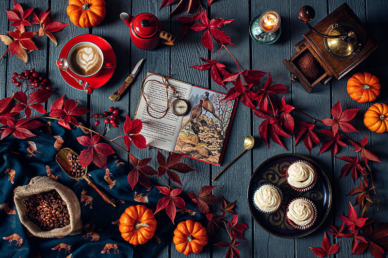 Food, Still Life, Berry, Book, Branch, Cake, Coffee, Coffee Beans, Grinder, Leaf, Pumpkin, Style, HD wallpaper