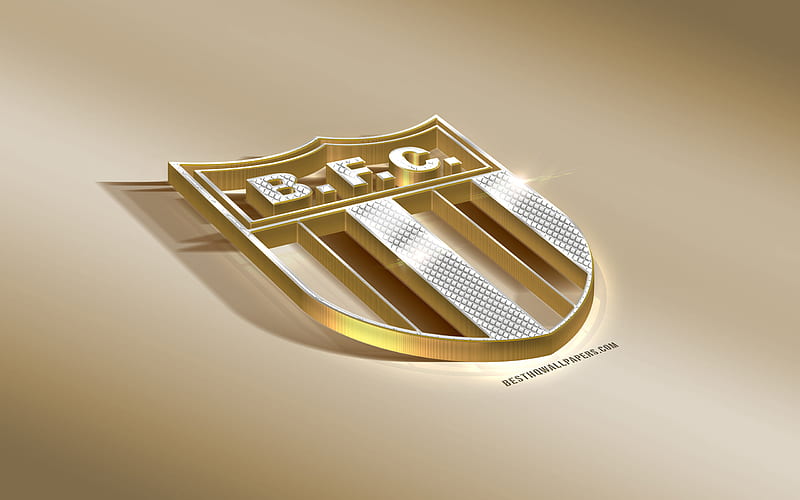 Botafogo Futebol Clube, Brazilian football club, golden silver logo, Ribeirao Preto, Brazil, Serie B, 3d golden emblem, creative 3d art, football, HD wallpaper