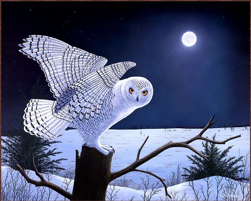 Owl Painting, painting, owl, snow, winter, HD wallpaper | Peakpx